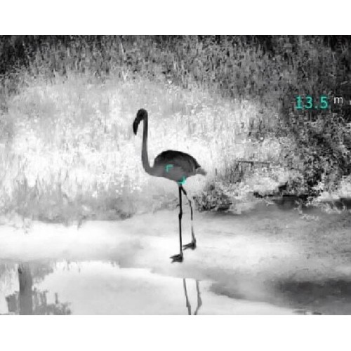 Тепловизионный бинокуляр Guide TN430 400х300, ø35мм, лазерный дальномер в Люберцах