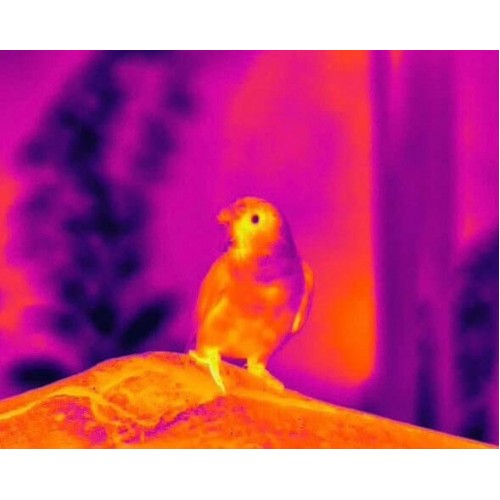 Тепловизионный бинокуляр Guide TN430 400х300, ø35мм, лазерный дальномер в Люберцах